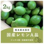 レモン A品2kg 県認証特別栽培