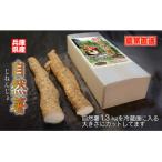 fu.... налог утро . город сельское хозяйство дом прямая поставка! утро . город производство специальный отбор Японский ямс (.....) 1.3kg