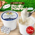 ふるさと納税 帯広市 ゴールデンジャージーアイスクリーム(ミルク)12個入り