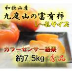ふるさと納税 九度山町 【2025年発送】九度山の富有柿 秀品 7.5キロ カラーセンサー選果L〜4Lサイズ(32〜22玉)