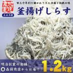 釜揚げしらす 土佐湾産1.2kg 300g×4袋