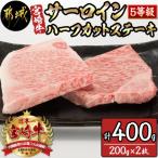 ふるさと納税 都城市 【5等級】宮崎牛サーロイン ハーフカットステーキ(2枚)