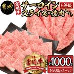 ふるさと納税 都城市 【5等級】サーロインスライス×焼肉セット