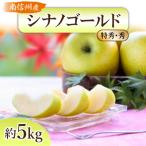シナノゴールド 約5kg