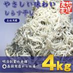 しらす干し 釜揚げちりめん 土佐湾産4kg 500g×8袋