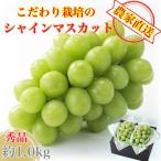 シャインマスカット 2房 合計約1.0kg