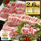 ふるさと納税 多古町 千葉県産豚肉 元気豚 精肉4種セット【大盛り】 2.6kg