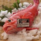 釣きんき一夜干し Sサイズ 約150g