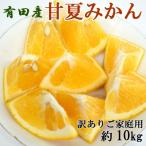 ふるさと納税 有田川町 有田産甘夏みかん約10kg(サイズ混合 訳ありご家庭用)