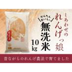 しあわせのれんげっ娘10kg 無洗米 お米
