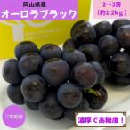 訳あり 木熟ぶどう ハレノシャイン シャインマスカット