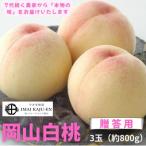 ご おかやまの桃 大玉3玉 約900g
