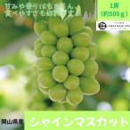 シャインマスカット1房 約500g