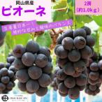 ピオーネ2房 約500g×2