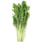 みず菜 100g×20袋