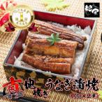 1710-2 大 鯉家の絶品蒲焼 真地焼きうなぎ蒲焼 2尾