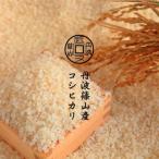 丹波篠山産 コシヒカリ 5kg