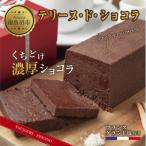 テリーヌド ショコラ 塩付 1本