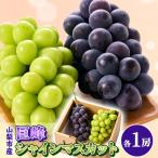 ふるさと納税 山梨市 大人気!巨峰・シャインマスカット食べ比べセット ふるさと納税