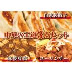 ふるさと納税 射水市 お店の味をおうちでも!ラーメンどんきの中華の王道3点セット　餃子25個・麻婆豆腐の素・ユーリンチー