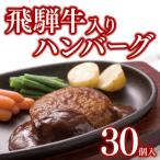 飛騨牛入りハンバーグ30個セット