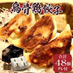 福一 烏骨鶏餃子48個 タレ付 餃子 ぎょうざ