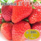 ふるさと納税 由良町 【2026年2月発送】和歌山県産ブランドいちご「まりひめ」約300g×4パック入り(由良町)