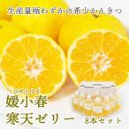 愛媛でしか栽培できない希少柑橘 媛小春