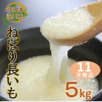ねばり長いも 5kg