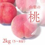 ふるさと納税 山梨市 山梨市産 新鮮 桃 約2kg (5〜8玉)