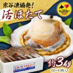 ふるさと納税 稚内市 【先行受付】宗谷漁協発!産地直送!活ほたて約3kg(13〜15枚入)刺身 海鮮