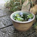 信楽焼 11号窯肌水鉢 メダカ鉢 金魚鉢