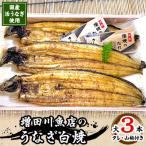 増田川魚店のうなぎ白焼 うなぎ 白焼き 愛知県三河産