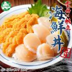 ふるさと納税 弟子屈町 ウニ 100g ホタテ 300g 2種 海鮮丼 北海道 弟子屈町 3382