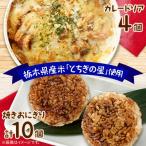 地元栃木産とちぎの星を使った焼きおにぎり