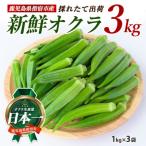 新鮮オクラ1kg×3袋 IB066-005