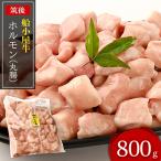 筑後船小屋牛ホルモン 800g