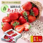 ショッピングふるさと納税 いちご ふるさと納税 福岡市 【2026年発送先行受付】福岡市産春あまおう4パック【福岡市返礼品】 DX04