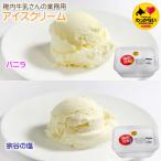ふるさと納税 稚内市 【 業務用 】 稚内牛乳 アイスクリーム 2L×2個 ( バニラ & 宗谷の塩 ) と珍味ホッケ燻製