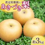 ふるさと納税 須賀川市 渡辺果樹園のあきづき梨 約3kg【9月中旬〜10月上旬にお届け】