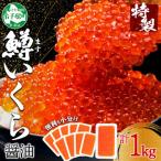ふるさと納税 弟子屈町 鱒いくら醤油漬け 約100g×10個 計1kg 北海道 弟子屈町 3401