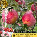 ふるさと納税 箕輪町 2025年夏!りんご新品種【シナノリップ】訳あり約5kg 酸味と甘みのバランス抜群