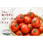 ミディトマト 通称:ガラシャの瞳 約2.4kg