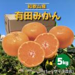 糖度 12.5度以上 訳あり みかん 5kg