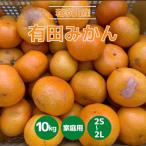 有田育ちのはるか みかん 訳あり 10kg
