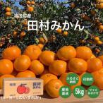 高級ブランド田村みかん 5kg