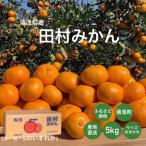 和歌山 田村みかん 5kg