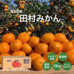 湯浅産 田村みかん 10kg