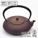 南部鉄器 鉄瓶 立目 紫金 0.8L