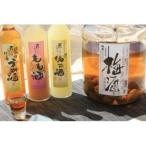 あさご果実酒三昧 2酒蔵の果実酒セット
